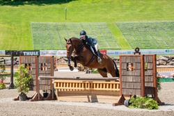 Photobomb Oldenburg Hunter photo 1