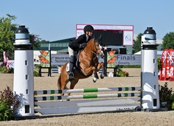 Spirit Welsh Cross Jumper photo 3