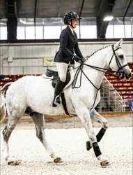Tissot Z Zangersheide Equitation photo 5