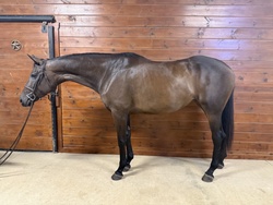 Gigi Appendix Hunter photo 1