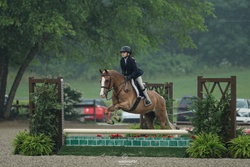 D.F. I've Got Rhythm Welsh Pony Hunter photo 1