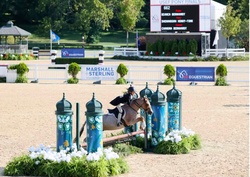 Shenandoah Honky-Tonk Welsh Pony Hunter photo 2