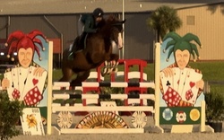 Chasity Van Blu Z Zangersheide Jumper photo 6