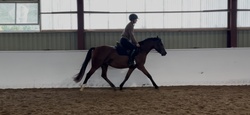 Brightside Welsh Cross Jumper photo 3