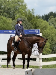 War Marshall TB Jumper photo 2