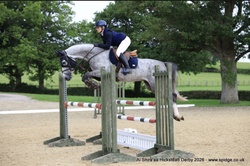 Chicaro S Warmblood Jumper photo 8