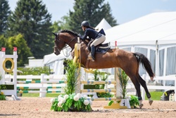 Primrose Oldenburg Jumper photo 4