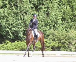 Wicked Americano Hanoverian Jumper photo 4