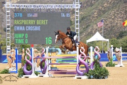 Raspberry Beret Belgian Warmblood Jumper photo 3