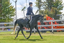 Always Pajama Day Welsh Cross Hunter photo 6