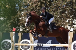 Raspberry Beret Belgian Warmblood Jumper photo 5