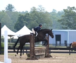 For Austria Holsteiner Equitation photo 2