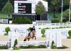Stateside TM Holsteiner Hunter photo 4