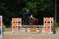 CMS Lowkey Holsteiner Equitation photo 1