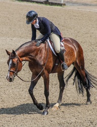 Imajacres Carpe Diem Hanoverian Hunter photo 3