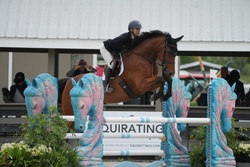“Ranger” Warmblood Jumper photo 2