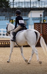 Secretly Welsh Cross Hunter photo 4