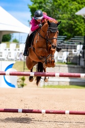 KAYTHLIN Warmblood Jumper photo 1