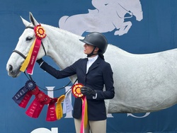 Kartouche du Houmier Belgian Warmblood Equitation photo 3