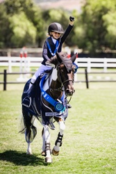 Naponyon Chincoteague Jumper photo 8