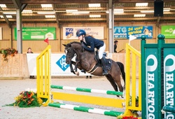 Tholveld Spirit Other Breed Hunter photo 5