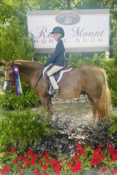 Rosmels Stormtrooper Welsh Pony Jumper photo 1