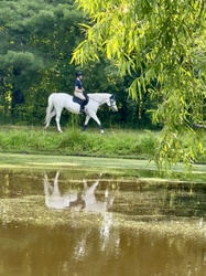 Secretly Welsh Cross Hunter photo 7