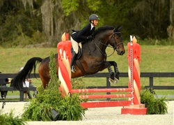 CMS Lowkey Holsteiner Equitation photo 7