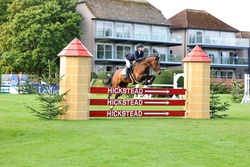 Innovate HBF Dutch Warmblood Jumper photo 2