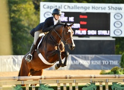 Adore Me Dutch Warmblood Hunter photo 8