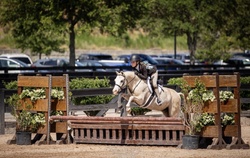 Arnaby Cassanova Welsh Cross Jumper photo 5