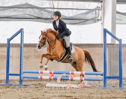 Mulberry Magic “Boba” Welsh Cross Jumper photo 2