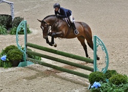 Monaco Dutch Warmblood Equitation photo 1