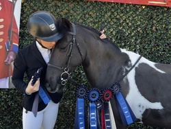 Naponyon Chincoteague Jumper photo 4