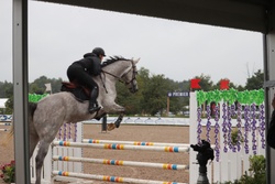 Bianca Westphalian Hunter photo 5