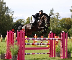 Kanyon Oldenburg Jumper photo 2