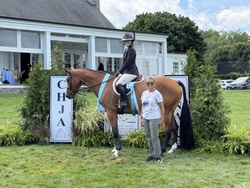Akari Van't Glemhof Z Dutch Warmblood Equitation photo 6