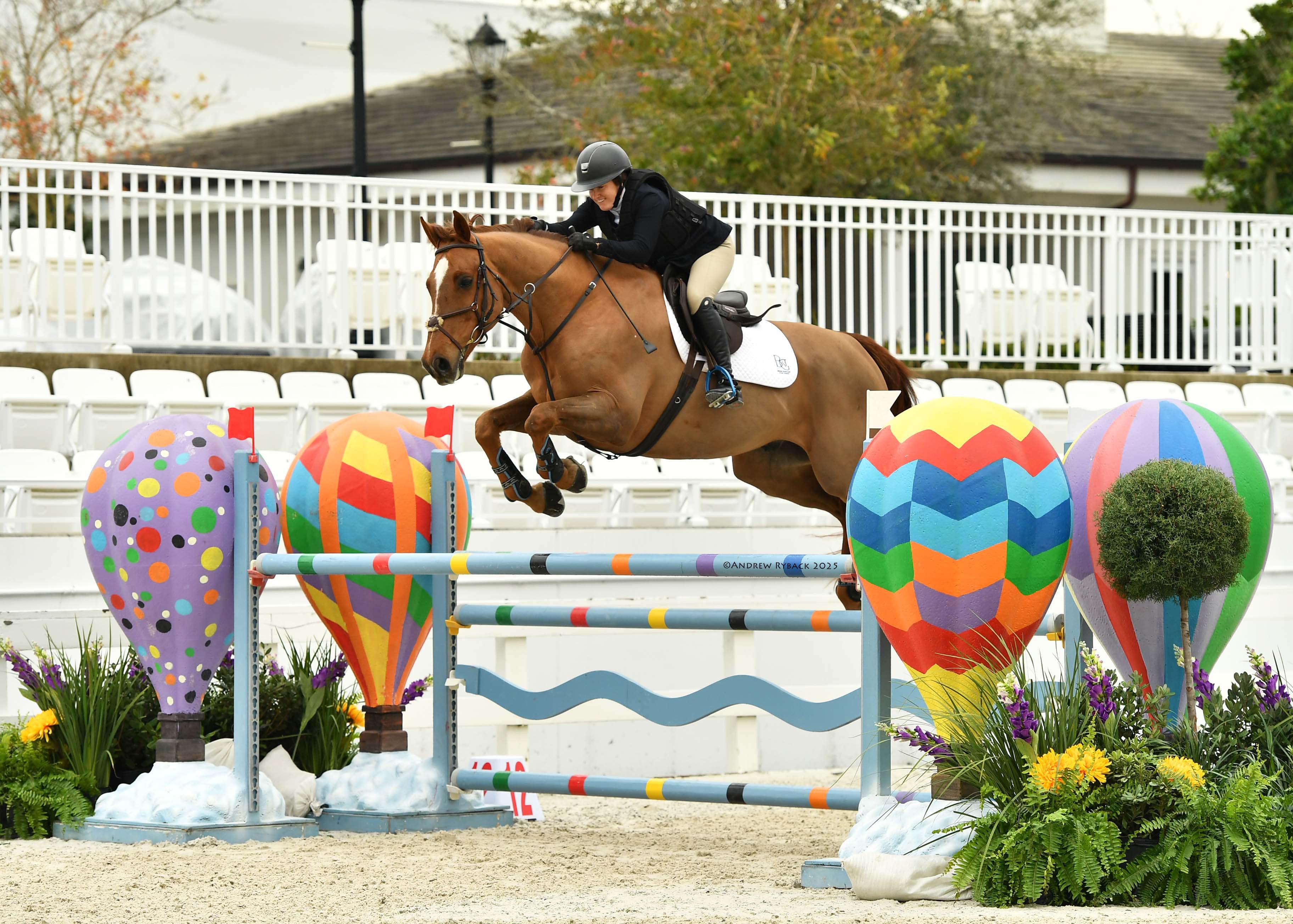 Koko Express Dutch Warmblood