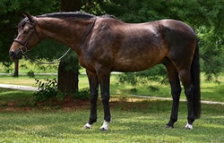Cordell Oldenburg Hunter photo 2