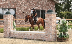 Sergio Crossbred Hunter photo 4