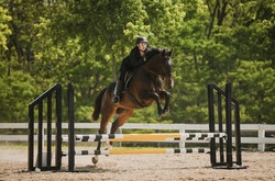 War Marshall TB Jumper photo 6