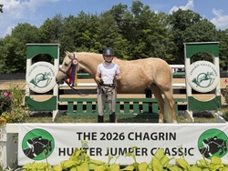Sailor Moon Warmblood Hunter photo 1