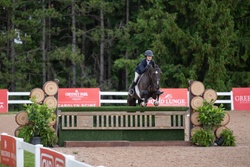 Paragon Hanoverian Hunter photo 4