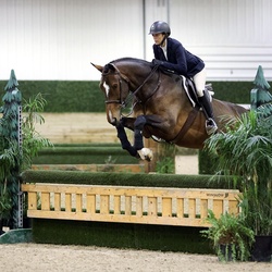 Monaco Dutch Warmblood Equitation photo 2