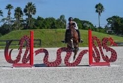 Pedro Other Breed Hunter photo 3