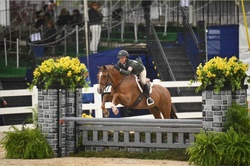 Straight Shooter Welsh Pony Hunter photo 2