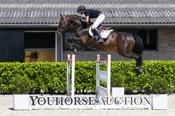 Four Seasons Other Breed Jumper photo 3