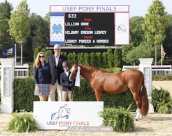 Hilbury Eregon Legacy Welsh Pony Hunter photo 4