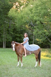 Cane Creek's Oopsie Daisy Welsh Cross Hunter photo 2