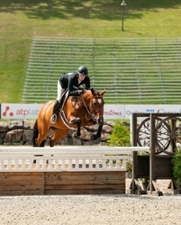 Charli RPSI Hunter photo 2